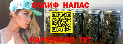 МДПВ Сланцы