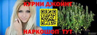 МДПВ Сланцы