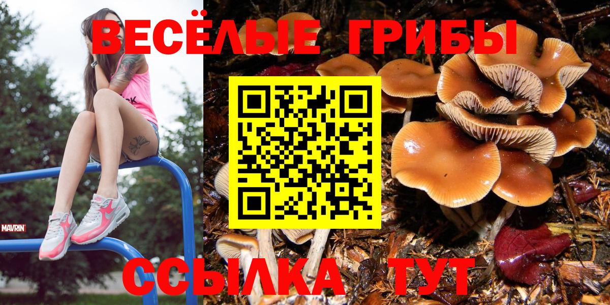 Галлюциногенные грибы мухоморы Нововоронеж